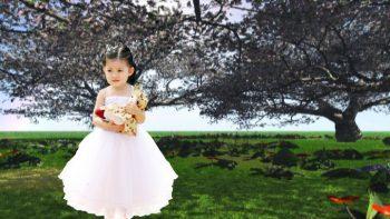 پروژه اماده افتر افکت البوم کودک و جشن تولد و....