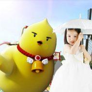 پروژه اماده افتر افکت البوم کودک و جشن تولد happy baby