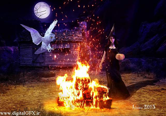 فتومونتاژ جغد