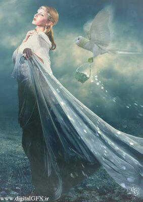 دانلود تصاویر جغد PNG