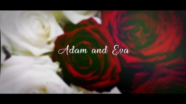 اسلاید شو تصاویر عروس سینمایی برای افتر افکت