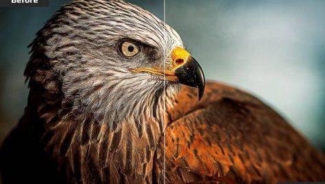 پکیج پریست لایت روم