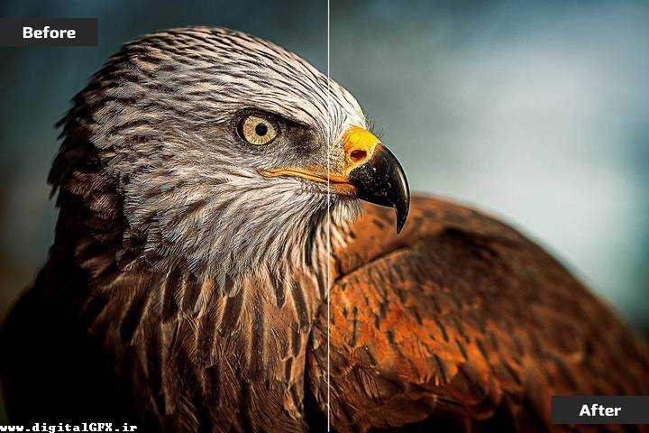 پکیج پریست لایت روم