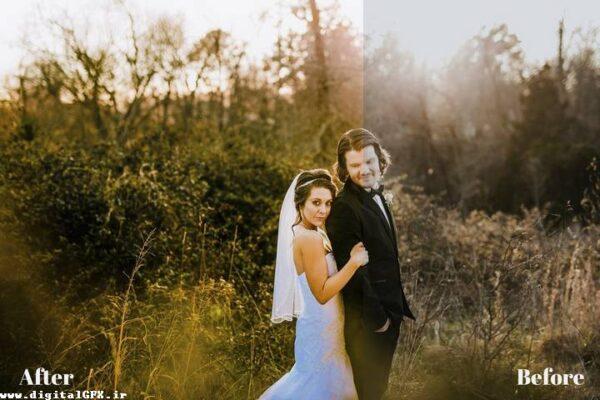 پکیج پریست لایت روم