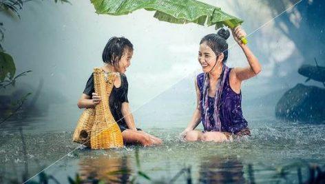 پکیج پریست لایت روم