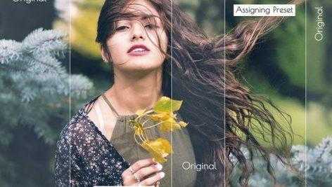 پکیج پریست لایت روم