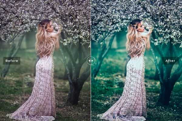 دانلود رایگان پریست لایت روم : Wonderland Lightroom Presets