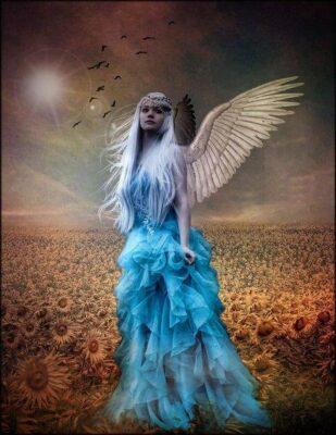 لایه باز بال فرشته