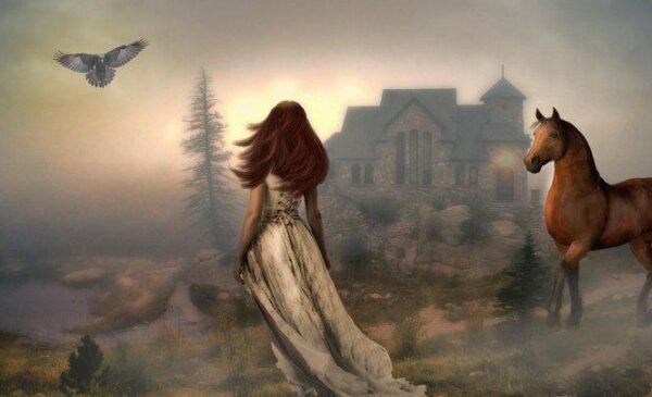 تصاویر لایه باز اسب