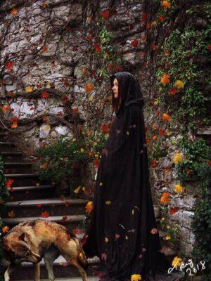 دانلود رایگان تصاویر لایه باز : گل و گلبرگ (PNG)