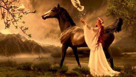 لایه باز اسب