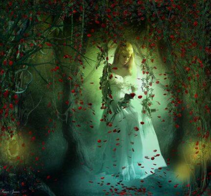 دانلود رایگان تصاویر لایه باز : گل و گلبرگ (PNG)