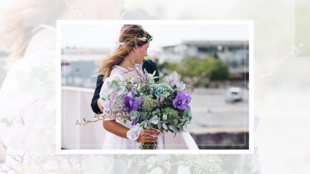 پروژه اماده پریمیر گالری عکس