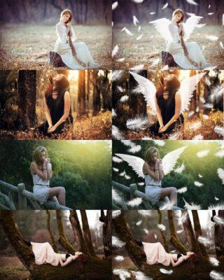 تصاویر پر برای فتوشاپ