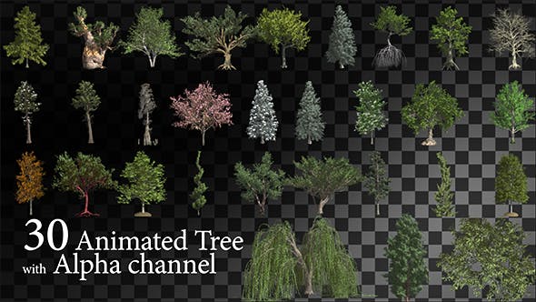 دانلود فوتیج موشن گرافیک متحرک درخت Animated Tree
