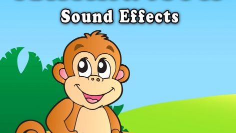 افکت صوتی انیمیشن (مجموعه اول) Animation Sound Effects