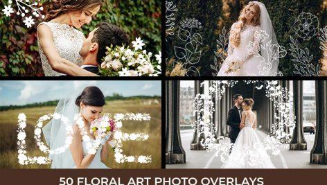 پک 500 تصویر PNG ازدواج رویایی با قابلیت همپوشانی Dreamy Wedding Photo Overlays