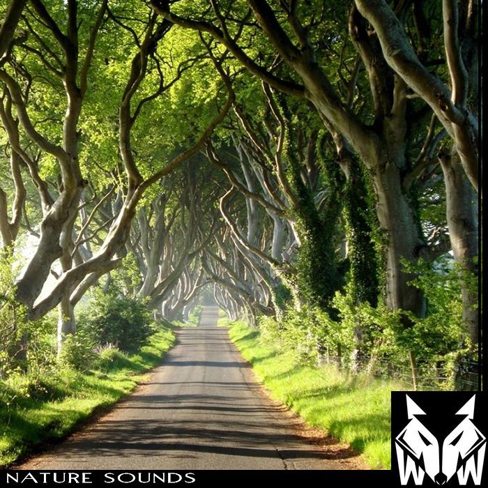 دانلود افکت صوتی : مجموعه صدای طبیعت Nature Sounds