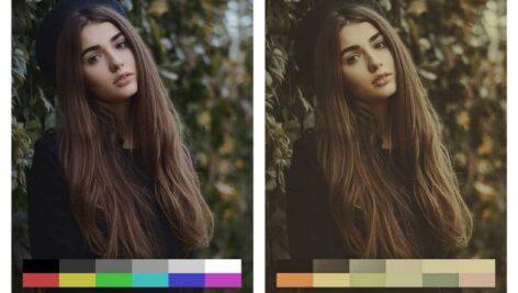 50 پریست لایت روم و lut : حالت رنگ نقاشی Painting Tones