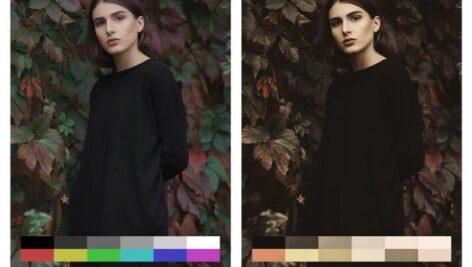 50 پریست لایت روم و lut : حالت رنگ نقاشی Painting Tones