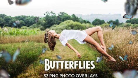 52 لایه باز پروانه با قابلیت همپوشانی Butterflies Photo Overlays