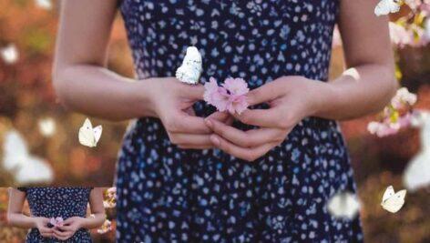 52 لایه باز پروانه با قابلیت همپوشانی Butterflies Photo Overlays