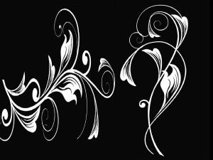 وکتور های متحرک جهت استفاده در نرم افزار های جلو های ویژه